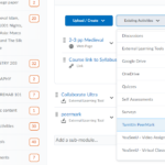 Existing Activities-> PeerMark