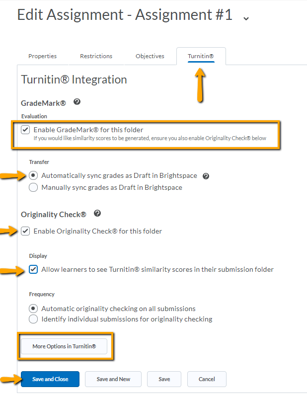 image of turnitin options