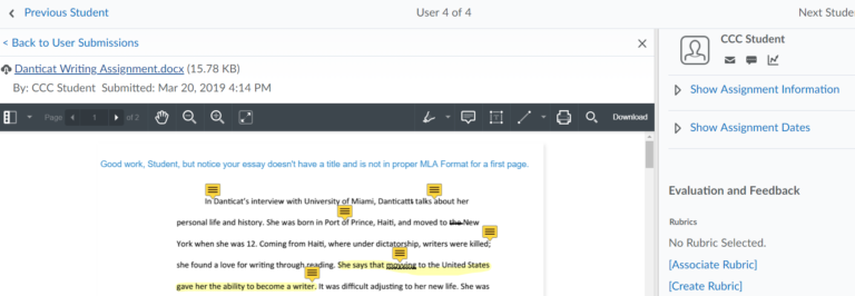 View of annotation toolbar for assignments tool