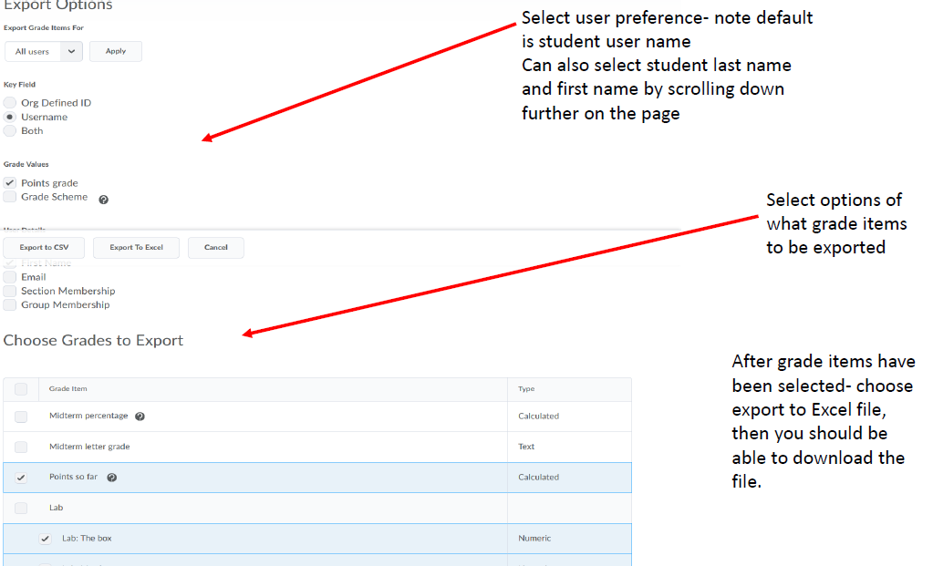 Screenshot of Export Options