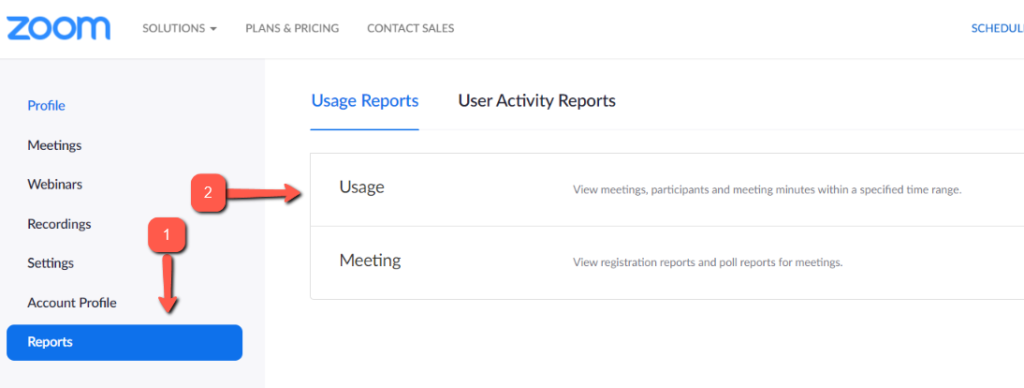 zoom interface with Reports selected and arrows pointing to "Reports" and "Usage"