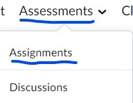 Assessment and Assignment menu view.