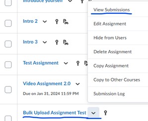 Down arrow next to selected assignment and view submissions